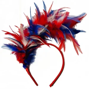 serre tête plume carnaval